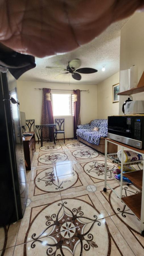 Oaklands Oasis Διαμέρισμα Κίνγκστον Εξωτερικό φωτογραφία