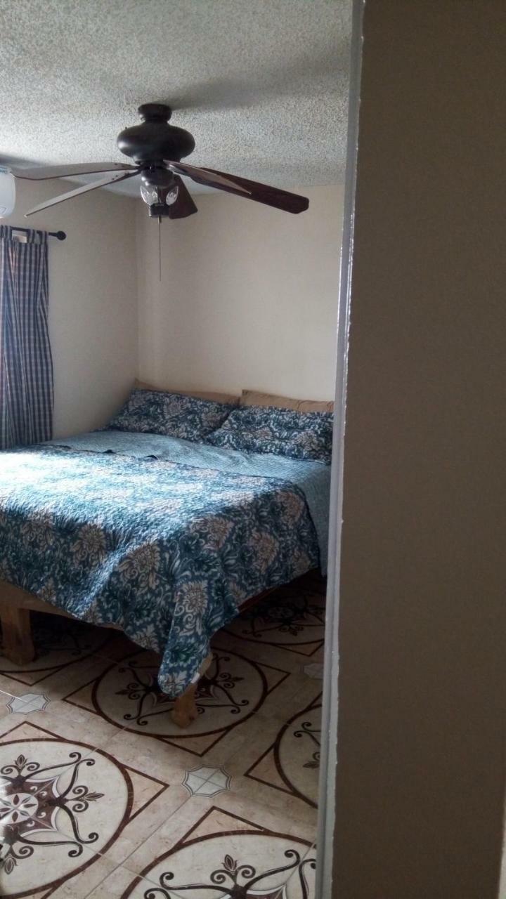 Oaklands Oasis Διαμέρισμα Κίνγκστον Εξωτερικό φωτογραφία